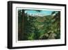 Colorado, Bear Creek Valley View of Mount Evans-Lantern Press-Framed Art Print