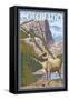 Colorado - Big Horn Sheep-Lantern Press-Framed Stretched Canvas