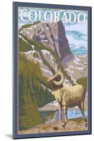 Colorado - Big Horn Sheep-Lantern Press-Mounted Art Print