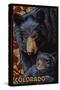 Colorado - Black Bears - Mosaic-Lantern Press-Stretched Canvas