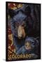 Colorado - Black Bears - Mosaic-Lantern Press-Stretched Canvas