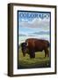 Colorado Buffalo Solo, c.2009-Lantern Press-Framed Art Print