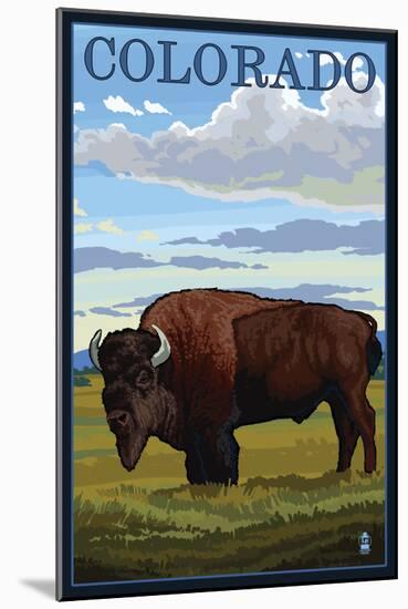 Colorado Buffalo Solo, c.2009-Lantern Press-Mounted Art Print