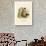 Colorado Chipmunk-null-Giclee Print displayed on a wall