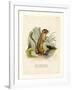 Colorado Chipmunk-null-Framed Giclee Print