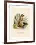 Colorado Chipmunk-null-Framed Giclee Print