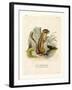 Colorado Chipmunk-null-Framed Giclee Print