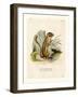 Colorado Chipmunk-null-Framed Giclee Print