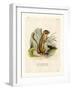 Colorado Chipmunk-null-Framed Giclee Print