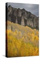 Colorado, Cimarron Range. Autumn Colored Aspens and High Mesa Pinnacles-Jaynes Gallery-Stretched Canvas