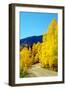 Colorado Color I-Douglas Taylor-Framed Photographic Print