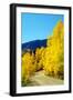 Colorado Color I-Douglas Taylor-Framed Photographic Print