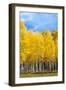 Colorado Color II-Douglas Taylor-Framed Photographic Print