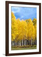 Colorado Color II-Douglas Taylor-Framed Photographic Print