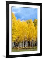 Colorado Color II-Douglas Taylor-Framed Photographic Print