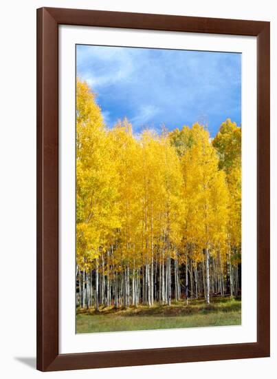 Colorado Color II-Douglas Taylor-Framed Photographic Print