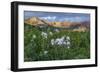 Colorado Columbine from Gothic Road, Crested Butte, Colorado-Howie Garber-Framed Photographic Print