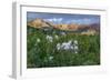 Colorado Columbine from Gothic Road, Crested Butte, Colorado-Howie Garber-Framed Photographic Print