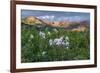 Colorado Columbine from Gothic Road, Crested Butte, Colorado-Howie Garber-Framed Photographic Print