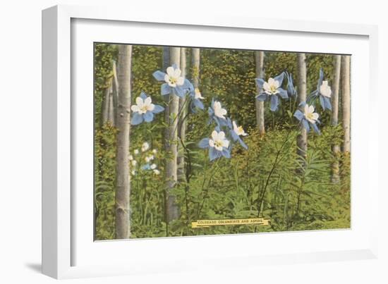 Colorado Columbines and Aspens-null-Framed Art Print