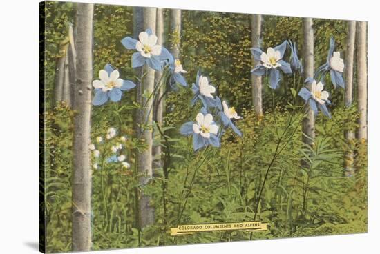 Colorado Columbines and Aspens-null-Stretched Canvas