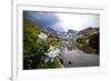 Colorado Columbines Blooming in Early July with Spring Run Off, Indian Peaks Rocky Mountains-Daniel Gambino-Framed Photographic Print