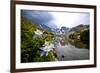 Colorado Columbines Blooming in Early July with Spring Run Off, Indian Peaks Rocky Mountains-Daniel Gambino-Framed Photographic Print