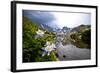 Colorado Columbines Blooming in Early July with Spring Run Off, Indian Peaks Rocky Mountains-Daniel Gambino-Framed Photographic Print