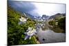 Colorado Columbines Blooming in Early July with Spring Run Off, Indian Peaks Rocky Mountains-Daniel Gambino-Mounted Photographic Print