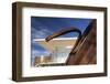 Colorado Convention Center, Denver, Colorado, USA-Walter Bibikow-Framed Photographic Print