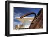 Colorado Convention Center, Denver, Colorado, USA-Walter Bibikow-Framed Photographic Print