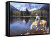 Colorado Cowboy-Jack Sorenson-Framed Stretched Canvas