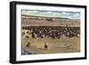 Colorado - Cowboys Rounding Up the Range of Cattle-Lantern Press-Framed Art Print