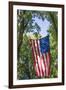 Colorado, Crawford. Flag Hanging Between Two Trees-Jaynes Gallery-Framed Premium Photographic Print