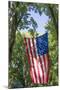 Colorado, Crawford. Flag Hanging Between Two Trees-Jaynes Gallery-Mounted Premium Photographic Print