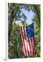 Colorado, Crawford. Flag Hanging Between Two Trees-Jaynes Gallery-Framed Photographic Print