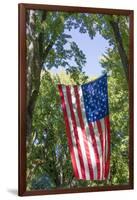 Colorado, Crawford. Flag Hanging Between Two Trees-Jaynes Gallery-Framed Photographic Print