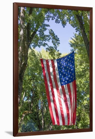 Colorado, Crawford. Flag Hanging Between Two Trees-Jaynes Gallery-Framed Photographic Print