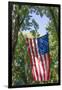 Colorado, Crawford. Flag Hanging Between Two Trees-Jaynes Gallery-Framed Photographic Print