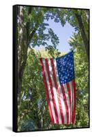 Colorado, Crawford. Flag Hanging Between Two Trees-Jaynes Gallery-Framed Stretched Canvas