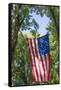 Colorado, Crawford. Flag Hanging Between Two Trees-Jaynes Gallery-Framed Stretched Canvas