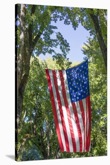 Colorado, Crawford. Flag Hanging Between Two Trees-Jaynes Gallery-Stretched Canvas