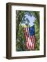 Colorado, Crawford. Flag Hanging Between Two Trees-Jaynes Gallery-Framed Photographic Print