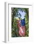 Colorado, Crawford. Flag Hanging Between Two Trees-Jaynes Gallery-Framed Photographic Print