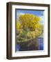 Colorado, Curecanti National Recreation Area-John Barger-Framed Photographic Print