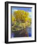 Colorado, Curecanti National Recreation Area-John Barger-Framed Photographic Print