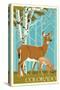 Colorado - Deer and Fawn-Lantern Press-Stretched Canvas