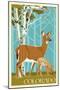 Colorado - Deer and Fawn-Lantern Press-Mounted Art Print