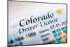 Colorado Driver License-duallogic-Mounted Photographic Print