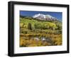 Colorado, East Beckwith Mountain. Composite of Mountain and Forest-Jaynes Gallery-Framed Photographic Print